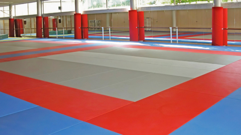 Comment bien vivre ? La voie du tatami – Part 2